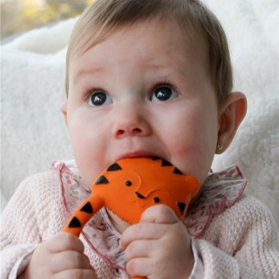 Nalu, O Tigre | Lanco