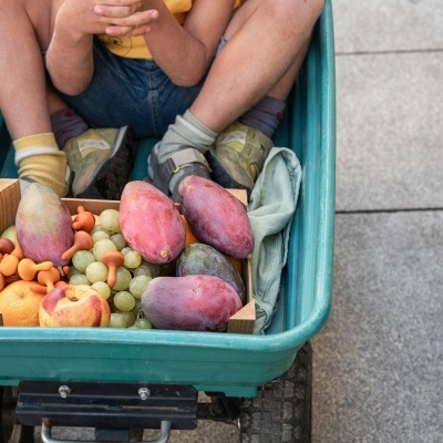 Abóboras | Peças Soltas