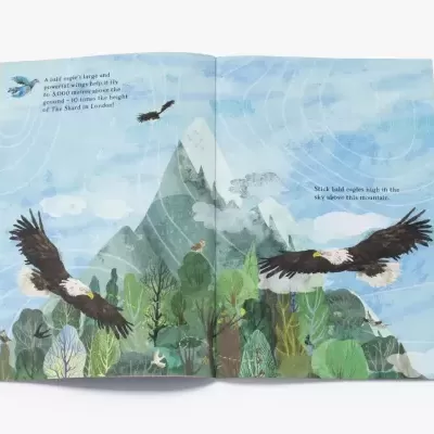 The Big Sticker Book of Birds | Caderno de Atividade & Autocolantes