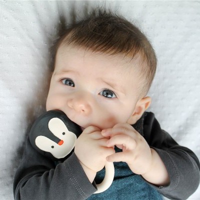 Nui, O Pinguim | Lanco