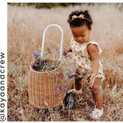 Carrinho de Rattan Várias Opções - Olli Ella