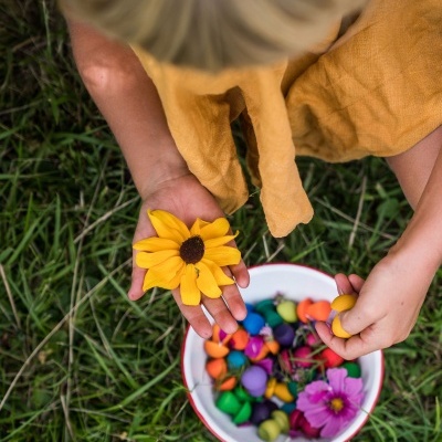 Cogumelos Coloridos Arco-Íris | Grapat