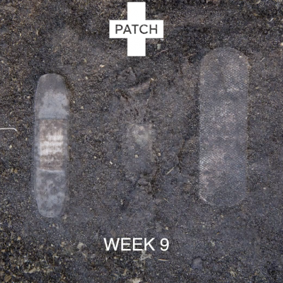 Carvão Ativado Penso Rápido Biodegradável | Patch