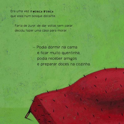 A Casa da Mosca Fosca