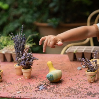 Pássaro Amarelo | Grapat Pássaro Amarelo | Grapat