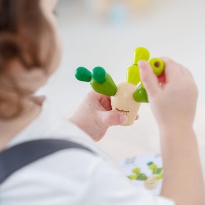 Cacto de Equilíbrio | Plan Toys Cacto de Equilíbrio | Plan Toys