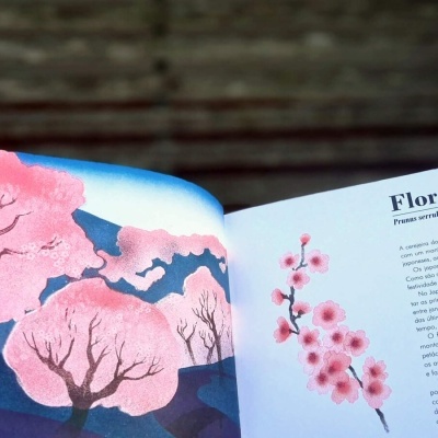 Uma paisagem, uma flor