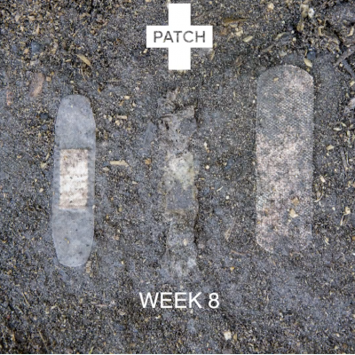 Carvão Ativado Penso Rápido Biodegradável | Patch