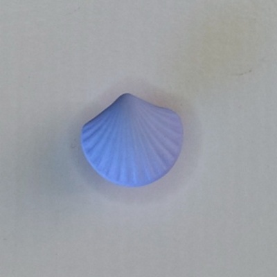 Concha azul estriada em superfície branca