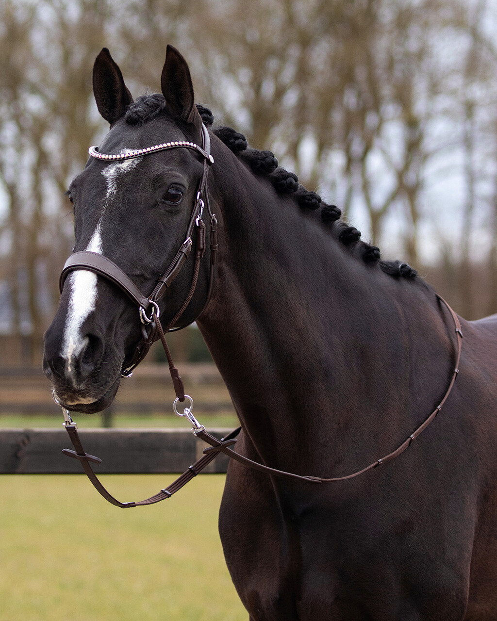 Cabeçada Bitless QHP "Sunna" Cabeçada Bitless QHP "Sunna"