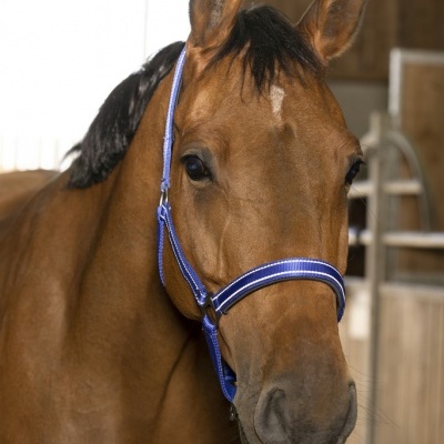 Cabeção NORTON "Reflective"