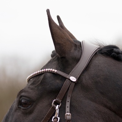 Cabeçada Bitless QHP "Sunna"