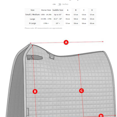 Conjunto de Dressage LEMIEUX Loire Classic