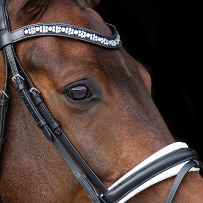 Cabeçada de Bridão SD DESIGN "Millenium"