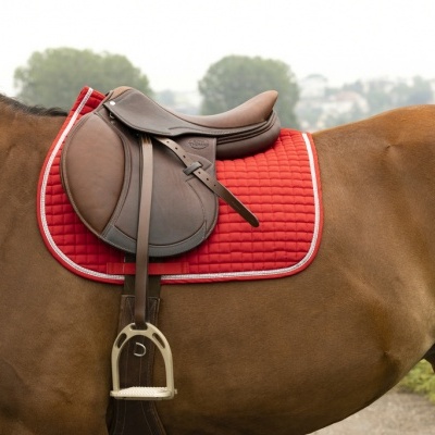 Suadouro RIDING WORLD "Girly"