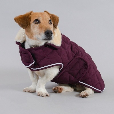 Capa para Cão HARCOUR Rocket