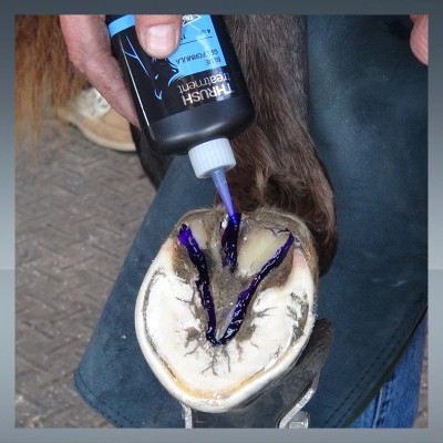 Gel p/ Ranilhas Thrush Treatment DIAMOND