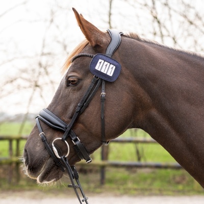 Nº Identificador p/ Competição QHP Shine