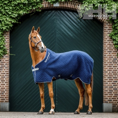 Cobrejão de Secar HORSEWARE Thermal Cooler