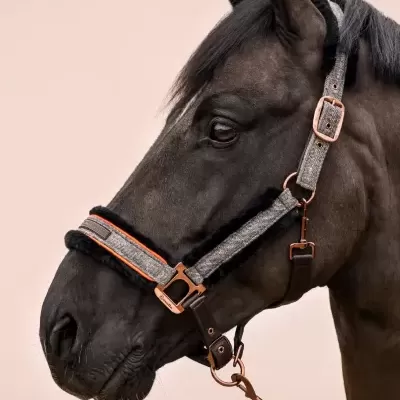 Cabeção CAVALLO 'Cavallilly'