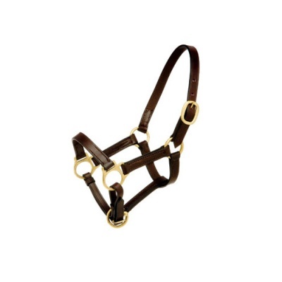 Cabeção de Couro Pequeno HH