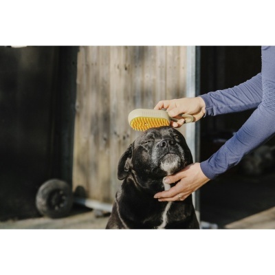 Almofaça c/ Cabo HIPPOTONIC "Vapeur"