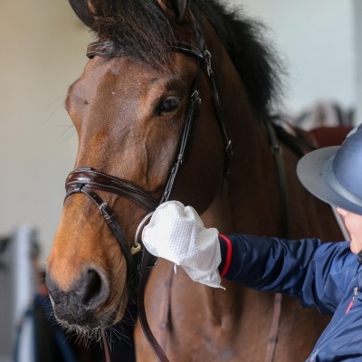 Luvas de Limpeza Belvoir CARR&DAY&MARTIN