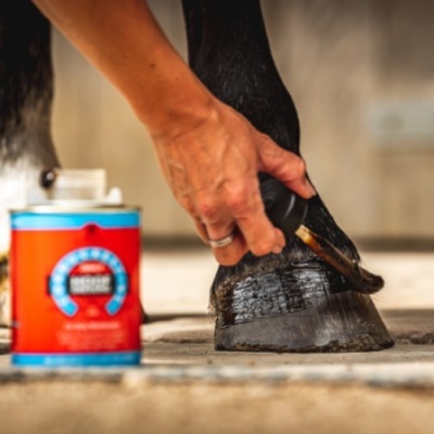 Pomada Cornucrescine Dressing CARR&DAY&MARTIN