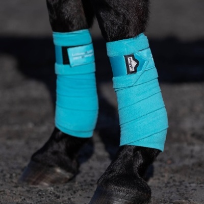 Ligaduras Polares LEMIEUX "Loire"