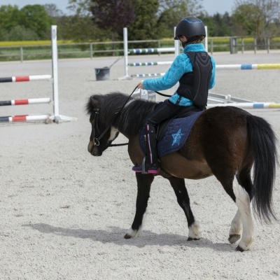 Protecção Dorsal EQUITHÈME "Mesh"