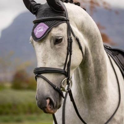 Orelheiras LEMIEUX "Earth"