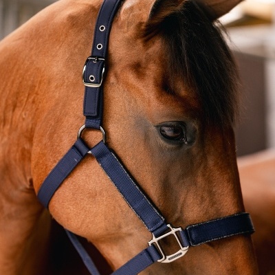 Cabeção + Prisão HARCOUR Hansy