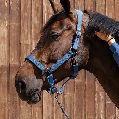 Cabeção + Prisão HARCOUR Hansy