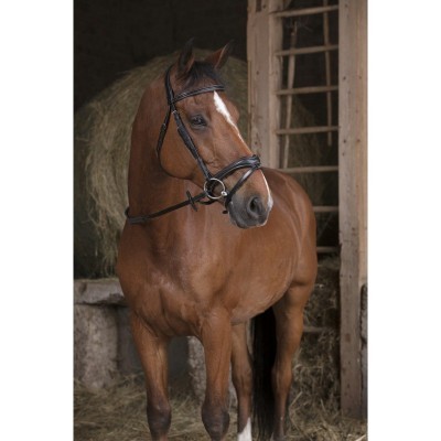 Rédeas de Borracha Larga NORTON PRO