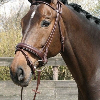 Cabeçada de Bridão HARRY'S HORSE "Round-sewn"