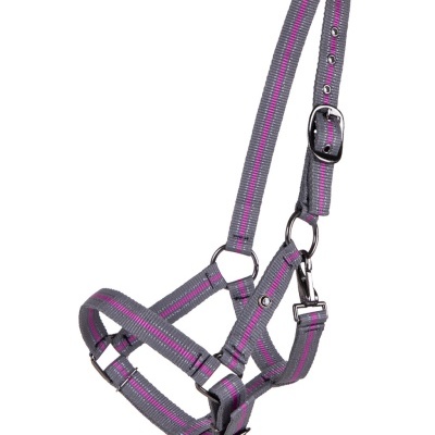 Cabeção p/ Poldro QHP "Yearling Collection"