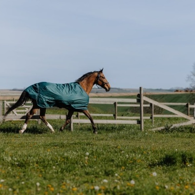 Coberjão de Exterior EQUITHÈME 'Tyrex 600D' BF