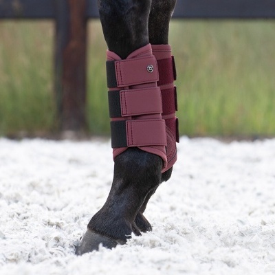 Caneleiras QHP "Summer Glow"