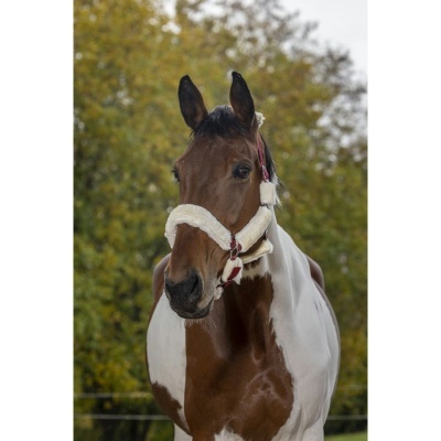 Cabeção NORTON "Full Mouton Synthétique"