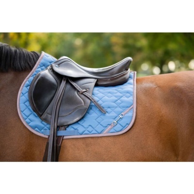 Suadouro HKM "Golden Bit"