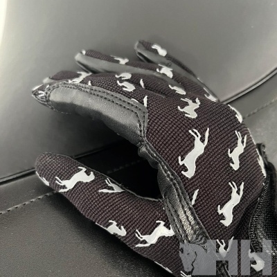 Luvas de Criança LEXHIS "Caballos"
