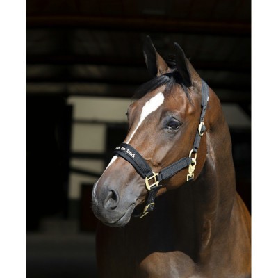 Cabeção BACK ON TRACK® "Werano"