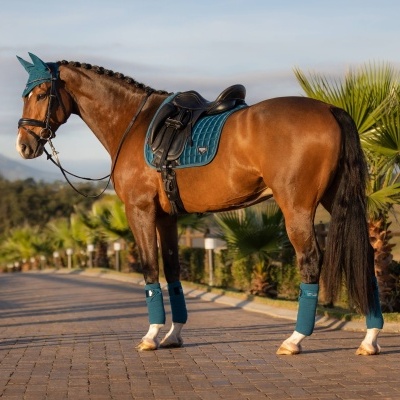 Conjunto de Dressage LEMIEUX Loire Classic