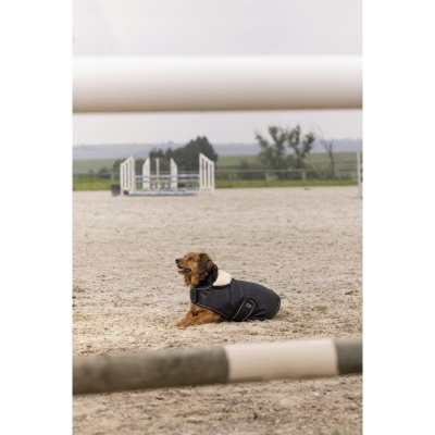 Capa de Nylon p/ Cão DIEGO & LOUNA "Teddy"