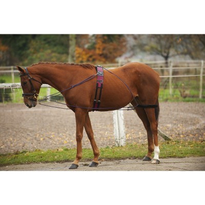 Sistema de Trabalho c/ Roldanas NORTON