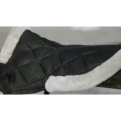 Protector de Dorso EQUITHÈME "Pro Air"