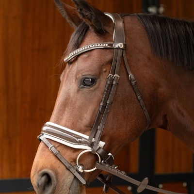 Cabeçada de Bridão HARRY'S HORSE "Chique"