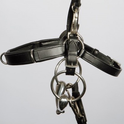 Cabeçada Multifunções em Couro HARRY'S HORSE