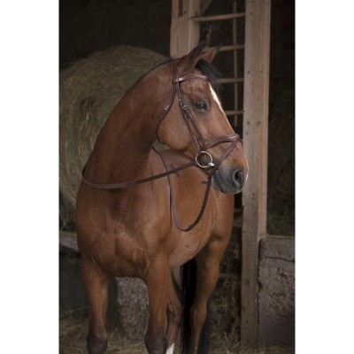 Rédeas de Borracha Larga NORTON PRO