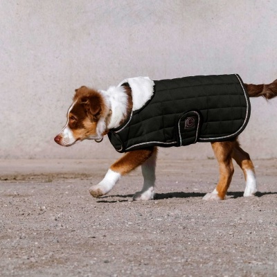 Capa para Cão EQUITHÈME 'Je T'aime'